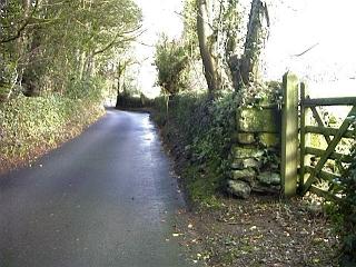 Entrance lane to Pine Lodge