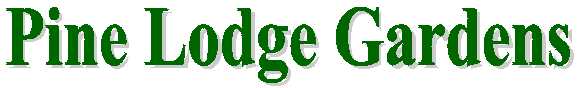 Pine Lodge Logo GIF